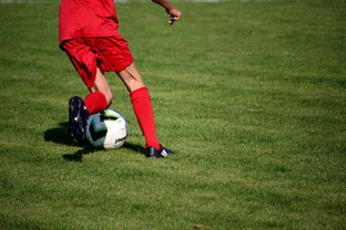 九游官网入口-体育新闻中心推进赛事图文实时发布系统优化，体育新闻赛事报道标题大全  第3张